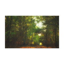 Forest Pathway Wrapped Canvas Print canvas prints
