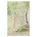 Forest Peace Stationery