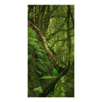 Forest Photo Card