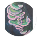 Forest Pixies Stickers