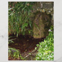 Forest pool custom flyer
