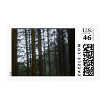 Forest Postage postage