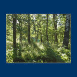 Forest Postcard