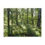 Forest Postcard