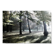 Forest posters by Reddragn7845 Forest posters