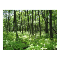 Forest posters by gubanich Forest posters