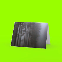 Forest Primeval cards