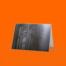 Forest Primeval cards by captphrank Forest Primeval cards