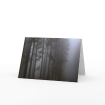 Forest Primeval cards