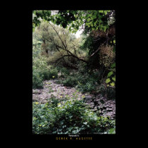 Forest posters