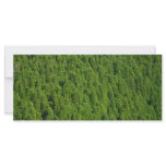 Forest Full Color Rack Card