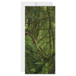 Forest Rack Card Template