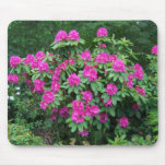 Forest Rhododendron Mouse Pads Forest Rhododendron Mouse Pads