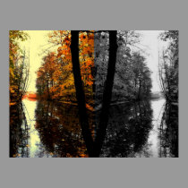 Forest River posters