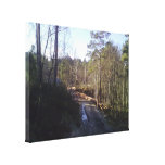 Forest road canvas print