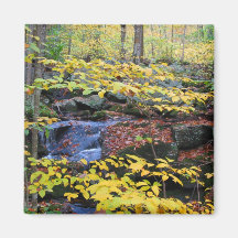 forest scene fridge magnet