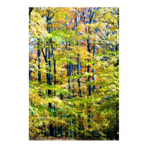 forest scene posters