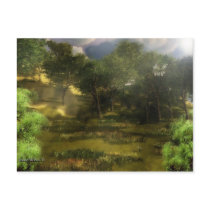 Forest Scenery postcards