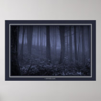 Forest Shadows Poster