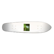 Forest skateboards