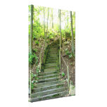 Forest stairs Gloss Canvas Print