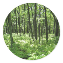 Forest Sticker by gubanich Forest Sticker