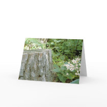 Forest Still cards by Tsalagi56 Forest Still cards