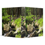 forest stream binders