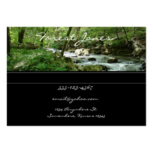 Forest Stream business card (front side)