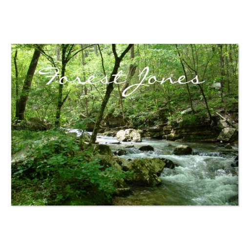 Forest Stream business card (back side)