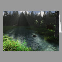 Forest Stream cards