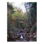 Forest Stream in Fall Poster or Print