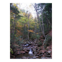 Forest Stream in Fall Poster or Print
