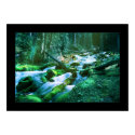 Forest Stream posters by UponInfinity Forest Stream posters