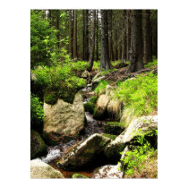 forest stream posters