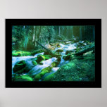 Forest Stream posters
