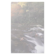 forest stream stationery by WorldDesign forest stream stationery