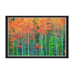 Forest  Stretched Canvas Print