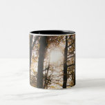 Forest sun mugs