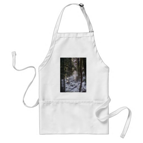 Forest Sun Rays in the Snow #24 apron