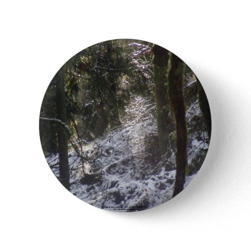 Forest Sun Rays in the Snow #24 button