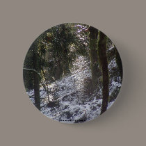 Forest Sun Rays in the Snow #24 buttons