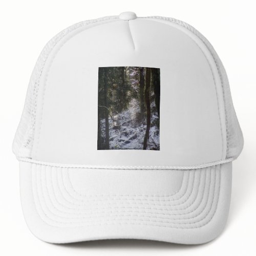 Forest Sun Rays in the Snow #24 hat
