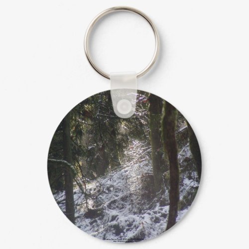 Forest Sun Rays in the Snow #24 keychain