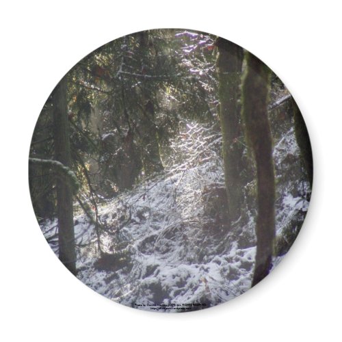 Forest Sun Rays in the Snow #24 magnet