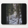 Forest Sun Rays in the Snow #24 Mousepads