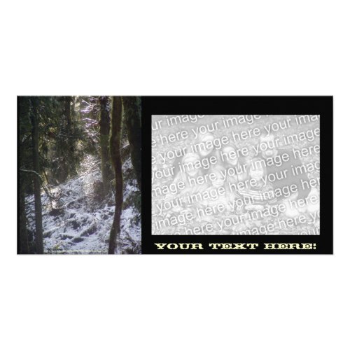 Forest Sun Rays in the Snow #24 photocard
