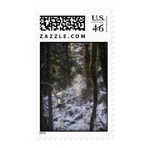 Forest Sun Rays in the Snow #24 stamp