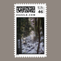 Forest Sun Rays in the Snow #24 stamps