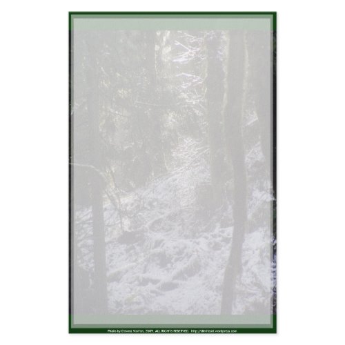Forest Sun Rays in the Snow #24 stationery
